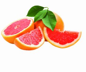 Grapefruit vector