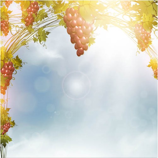 Grapes Backgrounds vector