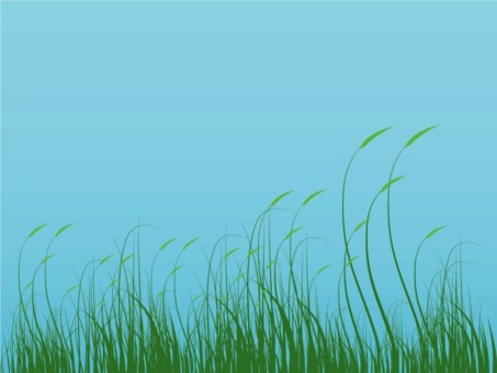 Grass Graphics vector