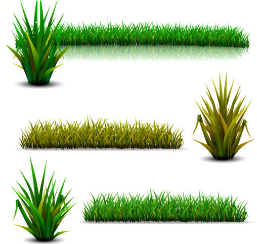 Green Grass Elements vector