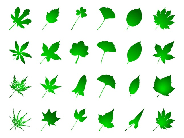Green Leaves vector graphics