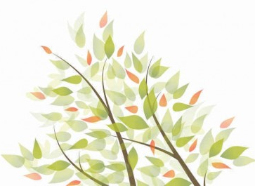Green Leaves Graphic Background vectors