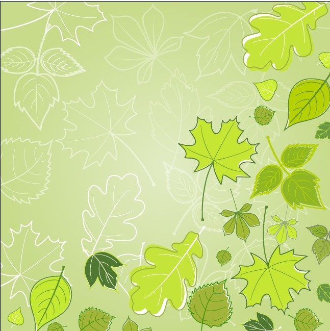 Green Leaves vector