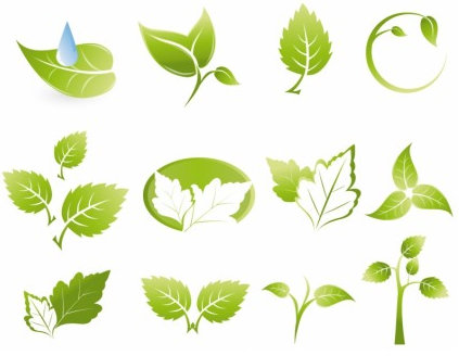 Green leaf icons vectors