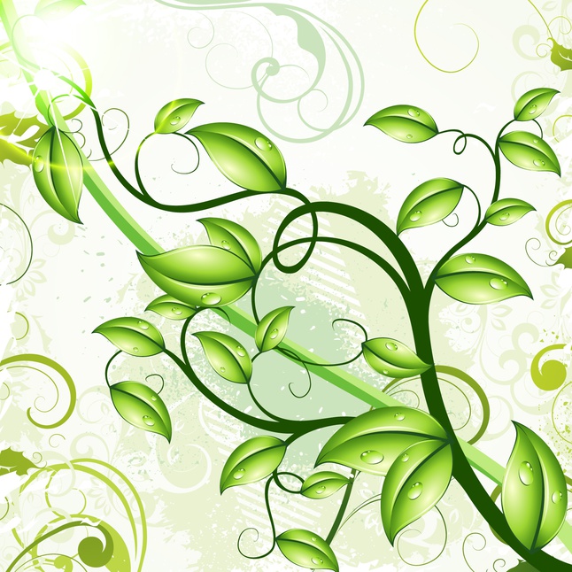 Green leaves background art vectors graphic