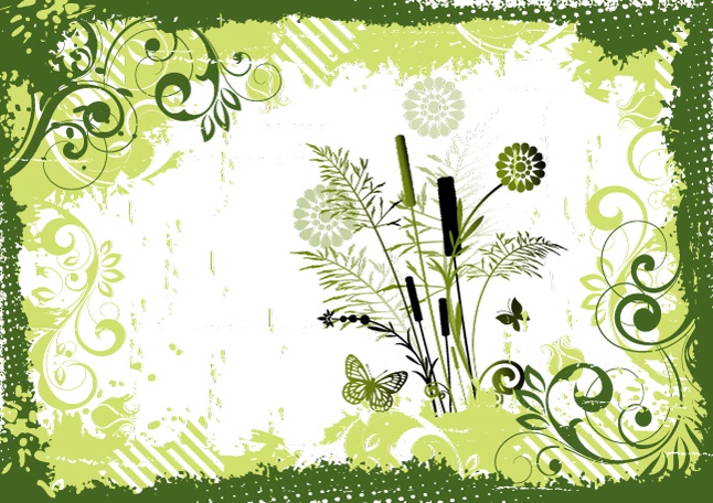 Grunge frame with floral set vector