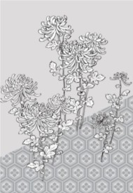Hand drawn Chrysanthemum vector set