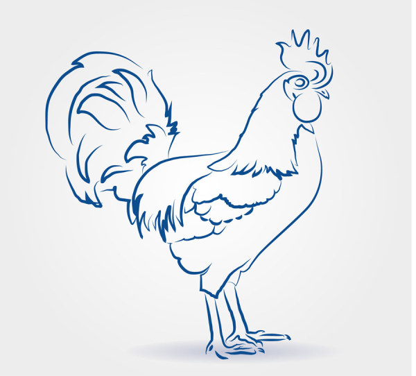 Hand drawn chicken 3 vector