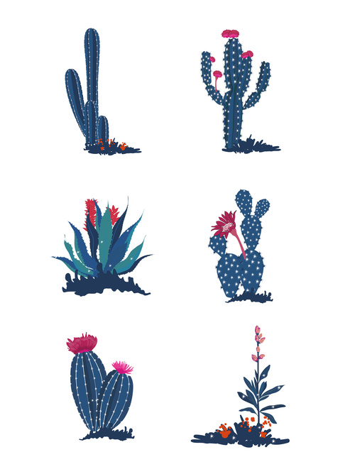Hand drawn plant cactus flower vector