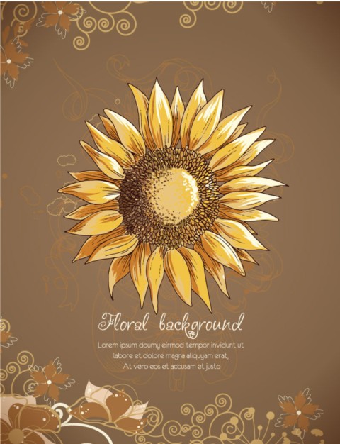Hand drawn sunflower set shiny vector