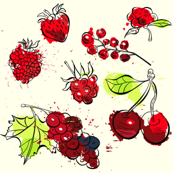 Hand-painted fruit 1 vector