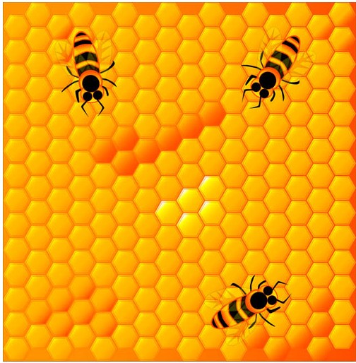 Honey Backgrounds design vectors