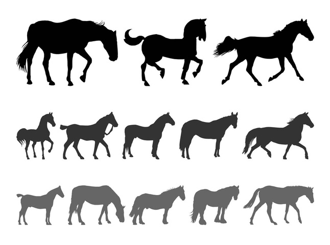 Horse Silhouettes art vectors