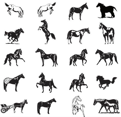 Horse Templates vector graphic