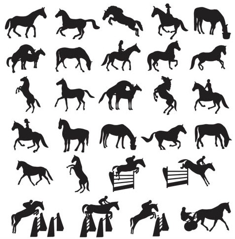Horse competitions vector