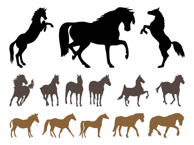 Horses Silhouette Set vector