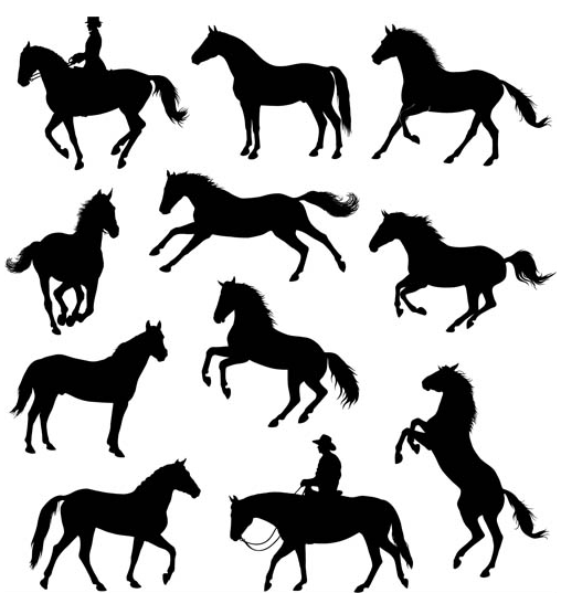Horses Silhouettes Illustration vector