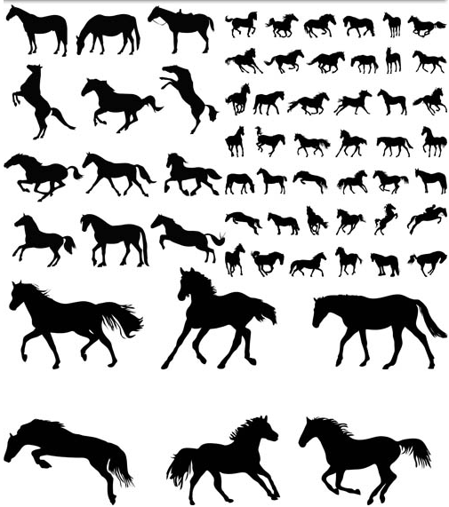 Horses Silhouettes 2 Illustration vector