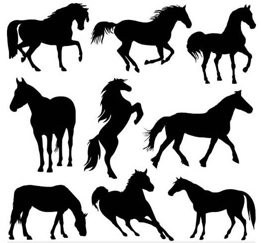 Horses Silhouettes Set vector