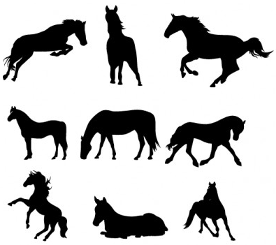 Horses Silhouettes vector