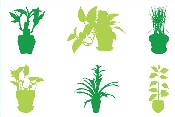 House Plants Silhouettes vector