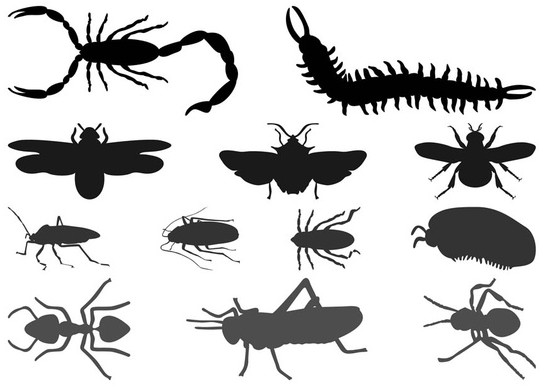 Insect Silhouettes vector