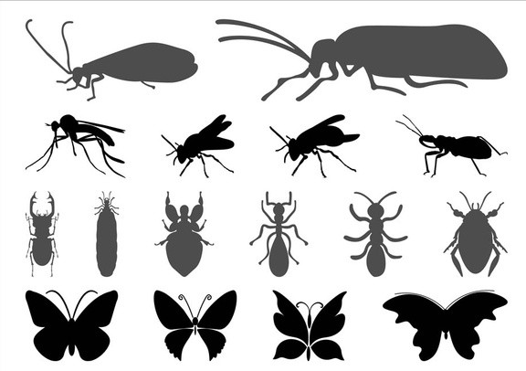 Insects Graphics vector silhouttes