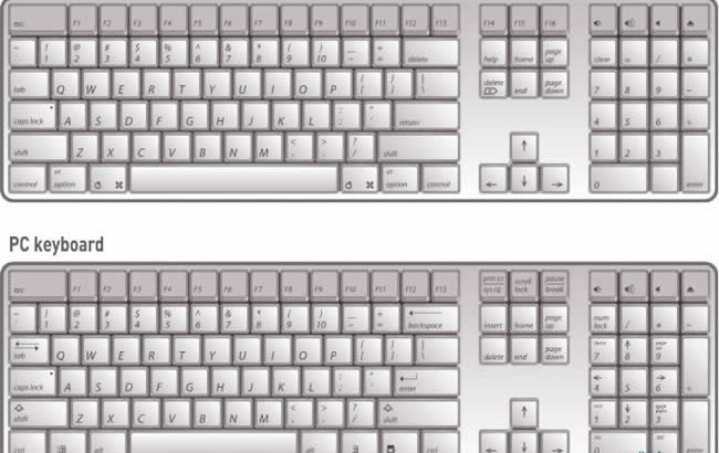 Keyboard layout vector