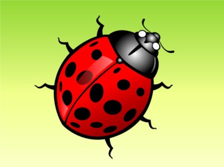Lady Bug Cartoon design vector