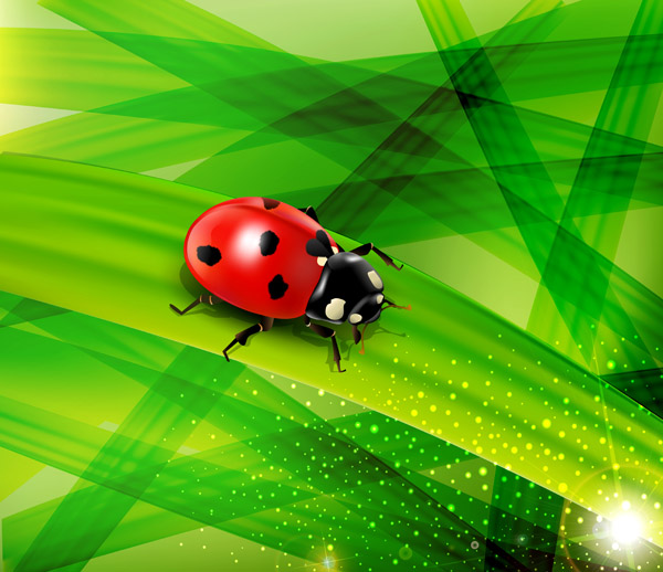 Ladybug green background design vector