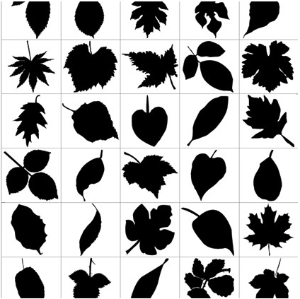 Leaf Silhouettes Free Graphic vector