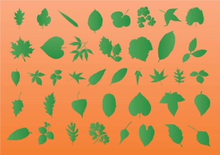 Leaf Vector Silhouettes graphics