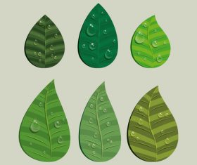 Leaves and dewdrop illustration vector 01