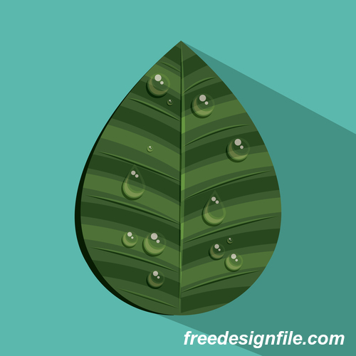 Leaves and dewdrop illustration vector 02