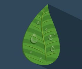 Leaves and dewdrop illustration vector 03