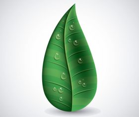 Leaves and dewdrop illustration vector 07