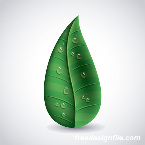 Leaves and dewdrop illustration vector 07