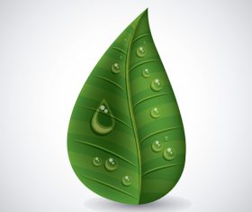 Leaves and dewdrop illustration vector 08