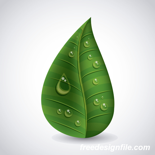 Leaves and dewdrop illustration vector 08