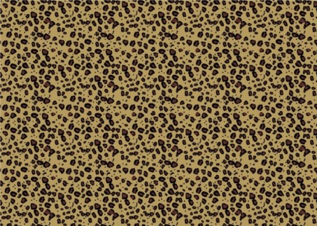Leopard Print Pattern set vector