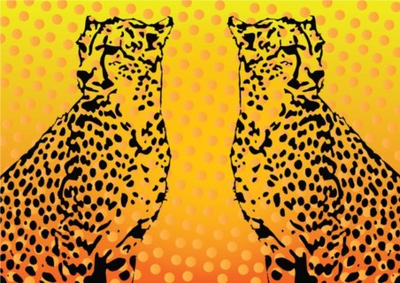 Leopard Graphics design vector