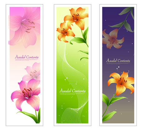 Lily banner 1 vector set