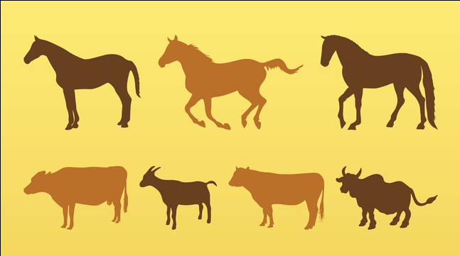 Livestock Animals Silhouettes art vector graphics