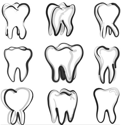 Logos with teeth graphic vector