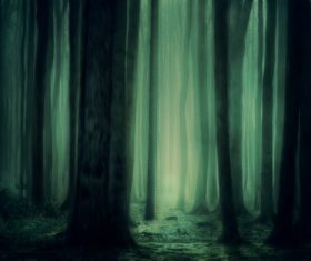 Magic forest Stock Photo