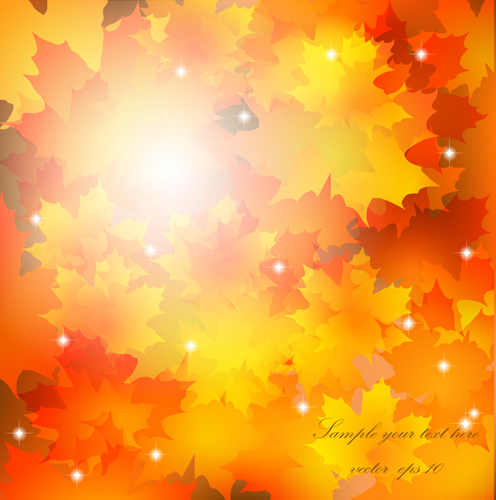 Maple Leaf background vector