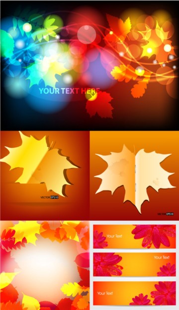 Maple leaf vector set