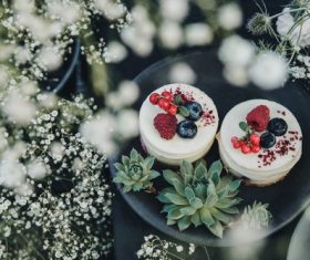 Melaleuca fruit cake Stock Photo