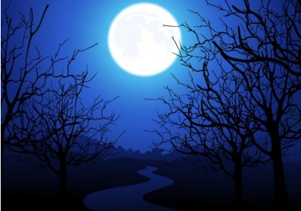 Moonlight Trees Vector background