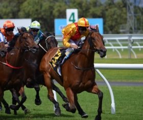 Nervous thrilling horse racing Stock Photo 01